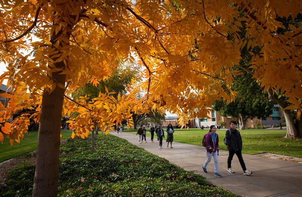 students walking under trees with fall colors (c) UCR