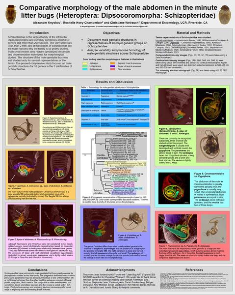 Alex Compmorph ESA poster