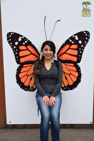Stephanie Castillo