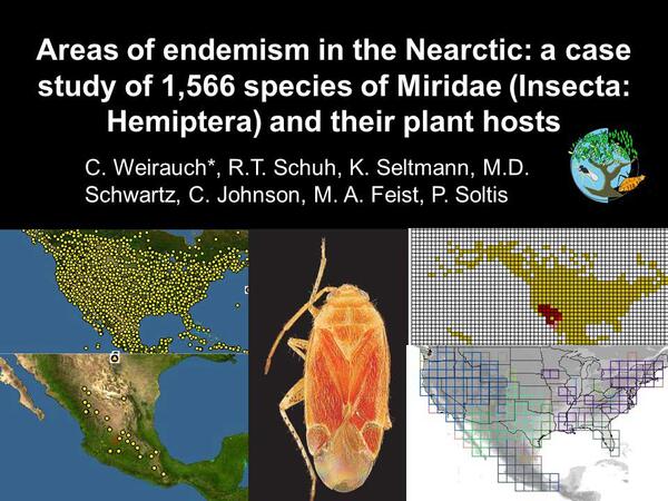 Weirauch et al Miridae