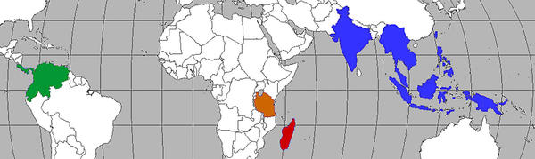 world map of Physoderinae